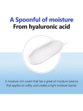 Isntree Hyaluronic Acid Cream - 10-Layer Formula, Green Tea, 100ml