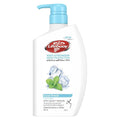 Body Wash Cool Fresh Antibacterial Daily Cleansing Lifebuoy 500ml