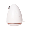 Rebune Facial Steamer RE-3-061, 85ml Water Tank, 220W Deep Cleansing