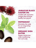 Strengthen & Grow Shampoo Jamaican Black Castor Oil Shea Moisture 384ml