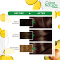 Garnier Permanent Hair Color, Light Brown 5, 112ml, with Gray Coverage