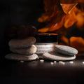 Beauty Experience Lift Express Day Cream - Snail Extract Firming - 50 ml