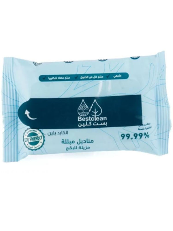 Best Clean Stain Remover Wet Wipes