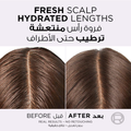 L'Oreal Paris Elvive Hyaluron Pure Shampoo, Salicylic Acid, 400ml