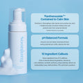 Foaming Face Wash Gentle Low pH Centella Asiatica Etude House 250ml
