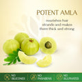 Best Hair Oil Amla & 7 Herbal Seeds for Strong Thick Hair Herbs India 280ml