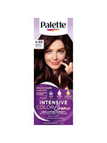 Palette Permanent Hair Color Intensive Aubergine 4-89 | 50 ml