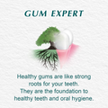 Himalaya Toothpaste Mint Natural Ingredients 100ml
