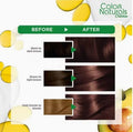 Garnier Hair Dye, Pure Chocolate Brown 6.7, Ammonia-Free, 112ml