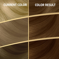Wella Koleston Permanent Hair Dye 3/7 Honey, 110ml, Gray Coverage