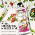 Best Shampoo for Hard Water Purifying White Strawberry & Sweet Mint Herbal Essences 400ml