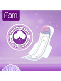Best Sanitary Pads for 10 Year Olds Classic Large with Wings Fam 40 Pieces