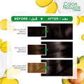 Garnier Hair Color Dark Brown 3, 112ml, Gray Coverage