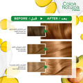 Beige Blonde Hair Dye Permanent Warm Shade Garnier 112ml