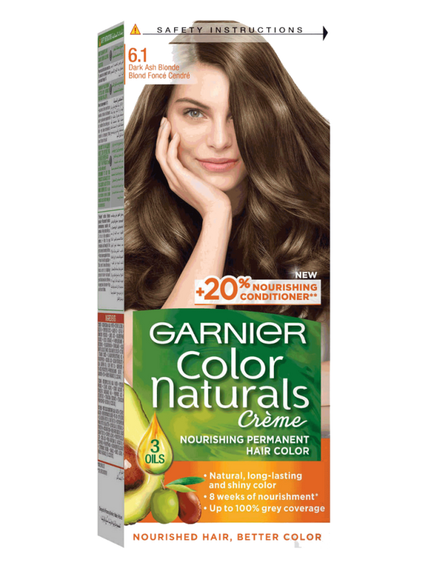 Dark Ash Blond Hair Dye 6.1 Color Naturals 100ml Garnier