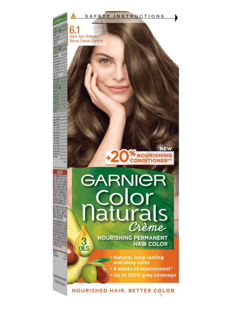 Dark Ash Blond Hair Dye 6.1 Color Naturals 100ml Garnier
