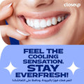 Toothpaste Fresh Breath Refreshing Breeze Closeup 120ml