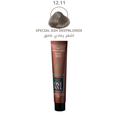 Blonde Hair Dye Dark Ash 12.11 Permanent Gray Coverage Salvatore 60g