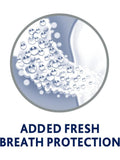 Mouthwash for Gum Health Iced Mint Parodontax 300ml