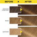Garnier Hair Color Ammonia-Free Ash Blonde 8.1