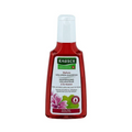 Rausch Hair Strengthening Treatment Shampoo, Mallow Extract, 200ml