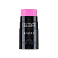 Bolver Creamy Blush Stick HS05 Powder Texture Hydrating