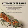 Brightening Eye Cream with Propolis and Vitamin C - iUNIK 30ml