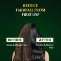 Parachute Amla Hair Oil with Vitamin E for Nourishment, 390ml