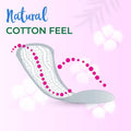 Scented Daily Panty Liners Softness Protection Fresh Days 72 Pieces