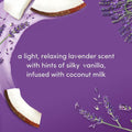 Dove Body Scrub Lavender & Coconut Milk Exfoliating 298g