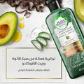 Curly Hair Shampoo Aloe Vera & Avocado Herbal Essences 400ml