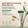 Best Travel Skincare Sets Glow Routine 4-Piece Kit AXIS-Y