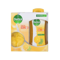 Dettol Body Wash with Bath Sponge Moisturizing Cleanser 250 ml
