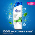Shampoo for Itchy Scalp Fresh Mint Anti-Dandruff Head & Shoulders 190ml