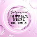 Frizz Control Shampoo for Fine Hair 72H Humidity Defence Pantene 600ml