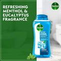 Best Smelling Body Wash Cooling Dettol 2x250ml