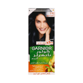 Garnier Permanent Hair Color, Black Blue 2.10, 112 ml