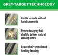 Just For Men Hair Dye Natural Black Color H-55 Gray Coverage 1 Pack