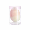 Basic Foundation Sponge Makeup Blending Tool Flexible Texture