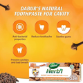 Dabur Herbal Clove Toothpaste 150g with Dental Wipes 12-Pack