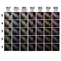 L'Oreal Paris Majrel Glow Hair Dye 01, Permanent Gray Coverage, 50 ml