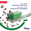 Best Toothpaste for Sensitive Teeth 2022 Clove Flavour 75ml Signal