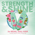 Shampoo Hard Water Henna Hibiscus Strength Shine Pert Plus 400ml