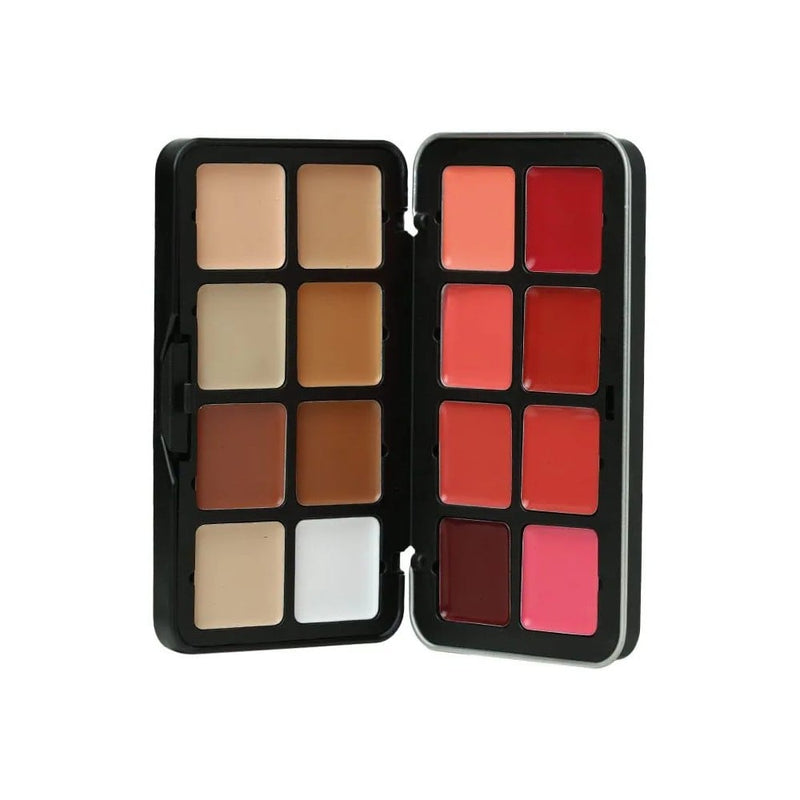 Md Blush and Concealer Palette 16 Color Set BCP 01