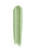 Pastel Lip Renewal Mint Scrub - 4.5g