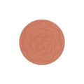 Blush for Natural Glow Powder Pigmented Shade 207 Sunny Show By Pastel 5g