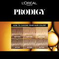 L'Oreal Paris Ammonia-Free Hair Color, Light Ash Blonde 8.1, 180ml