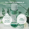 Best Face Toner Purifying Tea Trica Centella Asiatica Care Skin1004 210ml