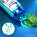 Head & Shoulders Anti-Dandruff Shampoo Itchy Scalp Peppermint 400ml