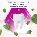 Gum Care Toothpaste Fresh Mint Formula Signal 75ml